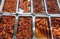 學(xué)鹵菜涼菜，來廚仟藝，零加盟費(fèi)，技術(shù)為本！